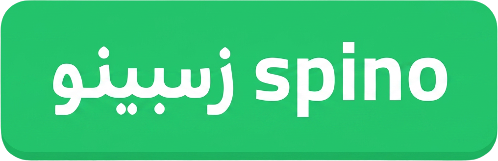 شنو هو البوكر؟ تعرّف على أدق تفاصيل اللعبة